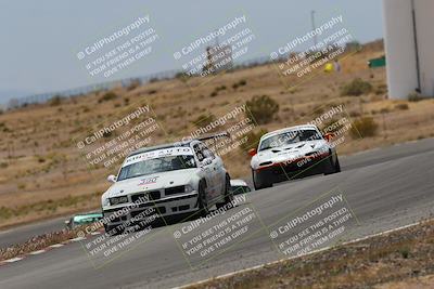 media/May-03-2025-Lucky Dog Racing (Sat) [[206de64b9d]]/Turn 6 (150pm-230pm)/